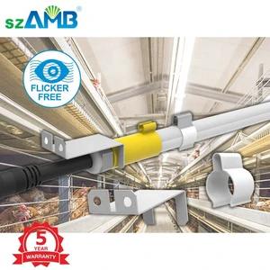 Anti-Ammonia Dimming Chicken Farm Lighting System for Poultry Layer Cage