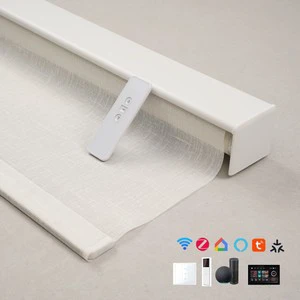 Smart Tuya Matter Zigbee Window Roller Blinds Indoor Motorized