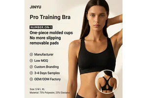 Wholesale Custom OEKO-TEX Certified Yoga Sports Fixed Bra Padding Non-Toxic Seamless Breathable Perforated Yoga Bra