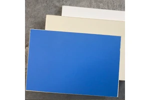 Low Maintenance Fireproof Clean Board Purification Panel for Pharmaceutical Clean Workshop