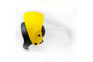 Full Face Shield