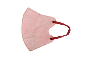 Adult Three-layer Face Mask Protective Mask 3D Mask