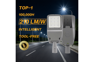 2025 Project Grade AC IP66 IK08 Die Cast Aluminum Alloy High Efficacy LED Street Light For Roadway