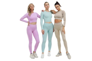Seamless Sports Long Sleeves Top Yoga Pants Set for Women