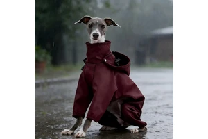 Pet Supplies Custom Sighthound Whippet Impermeable Para Perros Greyhounds Jumpsuit Sport Waterproof Dog Raincoat