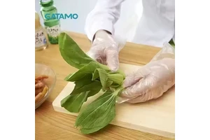 SP005 Affordable Disposable Food Safe Transparent HDPE PE Plastic Single Use Folding Hand Gloves