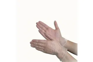 Food Safety Protective Transparent Compostable Disposable Pe Gloves Cleaning Hdpe Polyethylene