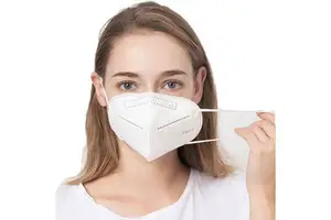 Personal Protective Equipment KN95 Dust Mask for Adult Non Woven Disposable Face Mask Protection Against Health and Safety