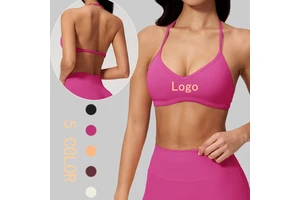 New Arrival Brushed Halter V Neck Yoga Bra Shockproof Removable Padded Adjustable Strap Sports Bra Backless Sports Bra