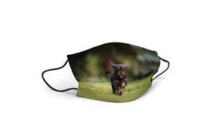 Wholesale Protective Transparent Safety Breathable Custom Colorful Adult Face Mask Customized Face Masks