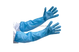 Disposable Transparent Clean Food Grade Gloves