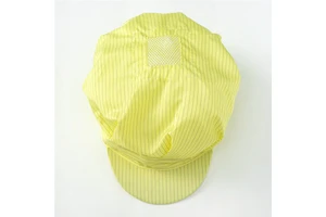 Low Price Anti-Static ESD Hood Dustproof Polyester Industrial Safety Product for Cleanroom & Laboratory Application