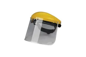 40151.04 Protective Mask