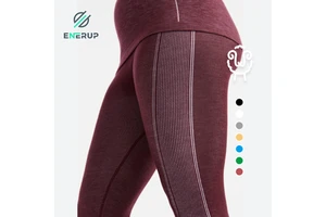 Seamless Leggings Sports Fitness Long Merino Ladies Workout Pants Pants Women Wool Yoga Modern Ergonomic Fit Professional Grade