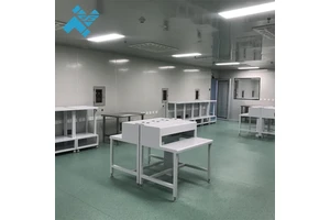 Professional Sanitary Design Pass Box Workstations HEPA Filter Grade Construction Stainless Steel Galvanized Zinc Clean