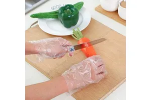 Factory Selling Disposable Hdpe/Ldpe Food Safety Waterproof Gloves