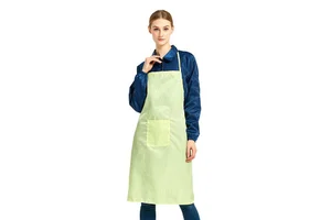 Unisex Extended Length Anti-Static Apron: Dust-Free Safety Workwear for Cleanrooms