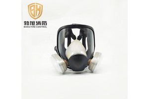 Professional Supplier Chemical Protective Face Mask