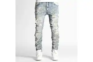 Custom High Street Men's Casual Regular Fit Jeans High Quality Water Ripped Printed Pants With Button Fly Closure Plus Size