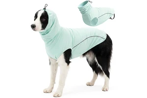 Breathable Dog Sun Protection Cooling Suit UPF 50+ Reflective Cooling Summer Jumpsuit for Small Dogs Outdoor Dog Cooling Vest