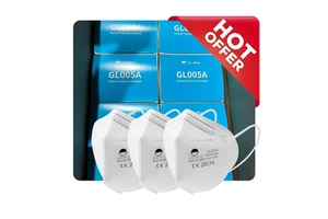 Hot Sale Factory Direct FFP2 Foldable Mask Without Valve GL005A Stock Ready Low Price