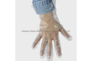 Disposable Thickened Safety Gloves Transparent Plastic for Catering Household Dishwashing Food Protection-Lobster Film Style