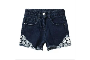New Latest Embroidery Denim Short Women Casual Frayed Destroyed Print Denim Short Jeans Whole Selling Price Women's Denim Shorts