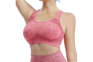 OSA Brand Women's Push-up Gym Wear High Support Quick Dry Spandex/Nylon Sports Bra Shock-Proof for Running Fitness Yoga Training