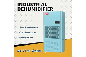 Lingde Professional New 290L/Day Industrial Dehumidifier for Electronics Semiconductor Clean Room Automatic Restart Digital
