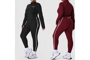 Plus-Size Color-Blocked High-Waisted Sheer Yoga Set for Women Fitted Stand-Up Collar Jacket and Running Workout Pants Set