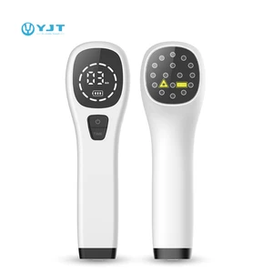 Handheld Infrared Red Light Therapy Device Low Level Laser Physiotherapy (LLLT) for Pain Relief for Humans 808nm &650nm