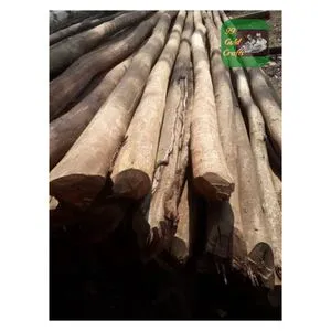 BULK EUCALYPTUS WOODEN POLES HIGH-DENSITY ROUND LOGS FOR CONSTRUCTION FARM FENCING AND MULTIPURPOSE OUTDOOR STRUCTURES