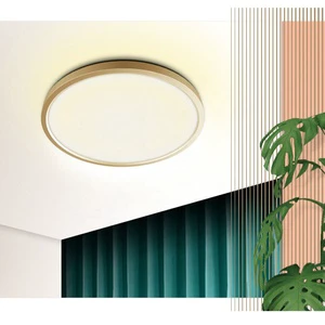 Switch Control 3000k 4000k 6500k Light Fixtures Ceiling Led Lights For Living Room