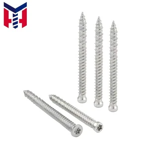 Precision Stainless Steel Thread Cutting Self-Tapping Screws with Cross Drive for Secure Fastening
