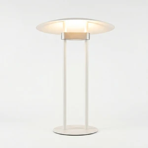 Lumetal Modern Creative Iron Decorated Table Lamp With 3000K Warm Light LED Bulb 1-Year Warranty Hotel Use Office Lamp