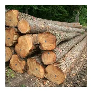 High Grade Teak Wood Logs Round Kiln Dried Hardwood Timber for Joinery and Furniture Use