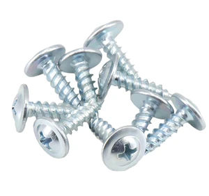 Stainless Steel Self Tapping Screws with Modify Truss Head DIN Standard Metric Measurement System Factory Low Price