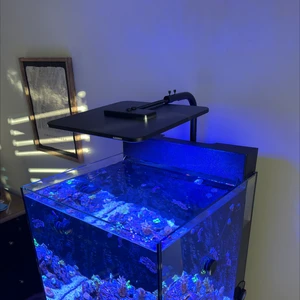 KASSRAY T120 120W Full Aluminum Coral Reef Light Fan-Free Smart WIFI Control for Marine Coral Reef Tank