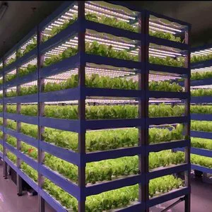 Led Grow Lights for Cultivation 30W 50W 100W 320W 480W SamsungGrow Tube | UFO | Linear Grow Light Led for Cultivation Veg Flower