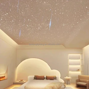 High Quality RGBW Twinkle Fiber Optic Starry Sky Light Led Fiber Optic Lights With Remote Controller for Cinema Bedroom Hotel