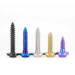 Factory Direct Sales GR5 Titanium Self-tapping Screw