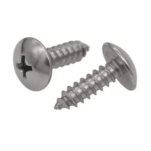 Stainless Steel Cross Recessed Truss Head Tapping Screws