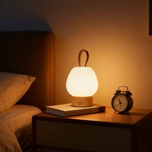 Wholesale Modern Stylish LED Lamp, Portable USB Rechargeable Touch Dimmable Reading Light for B&B Cafe Interior Decoration