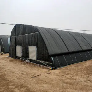 Hot Sale Mushroom Greenhouse Hydroponic Growing Greenhouse For Mushroom Single Span Grow Tent Tunnel Light DEP Greenhouse