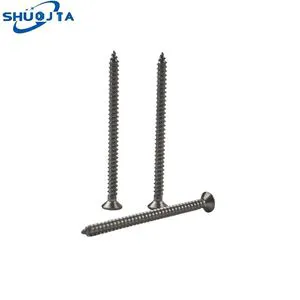 Silver-Colored 304 Stainless Steel Head Self-Tapping Screw Metric System Black Zinc Phillips Tapping Screw Grade 8.8 Right Hand