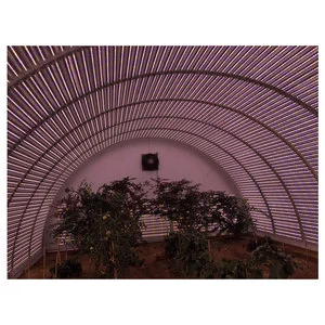 Awesome Quality Nicest Rates Full Spectrum Plant 16W Hydroponics Vertical Farming Grow Light Led