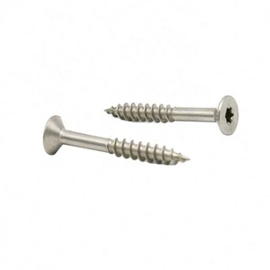 Torx Flat Head Self Tapping Screw