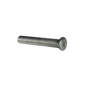 Good Price China Metal Self-tapping Screw Custom Fastener Screw