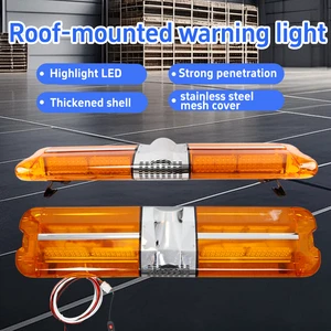 Roof warning light