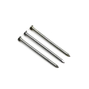 DIN1151 Bight Building Nails Pregos Q195 Q235 Steel Iron Galvanized Common Wire Nails